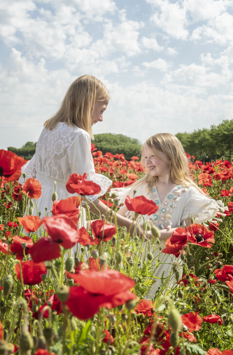 Kinderen gezin fotoshoot