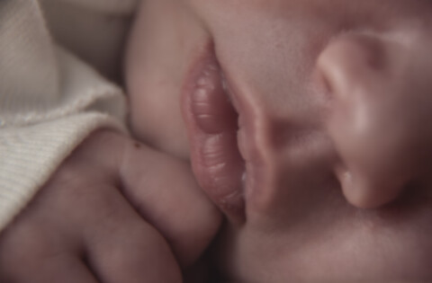 Newborn fotograaf Ridderkerk